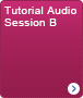 Tutorial Audio Session B
