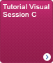 Visual tutorial session C