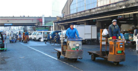 Tsukiji Fish Market