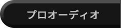 プロオーディオ部門