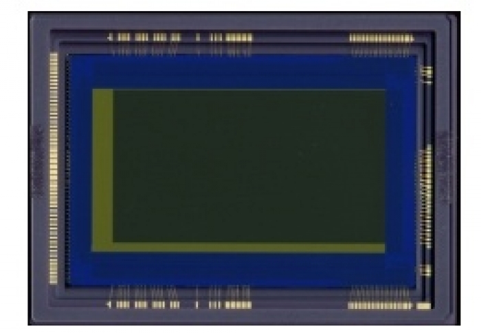 新開発の動画専用 35mmフルサイズCMOSセンサー