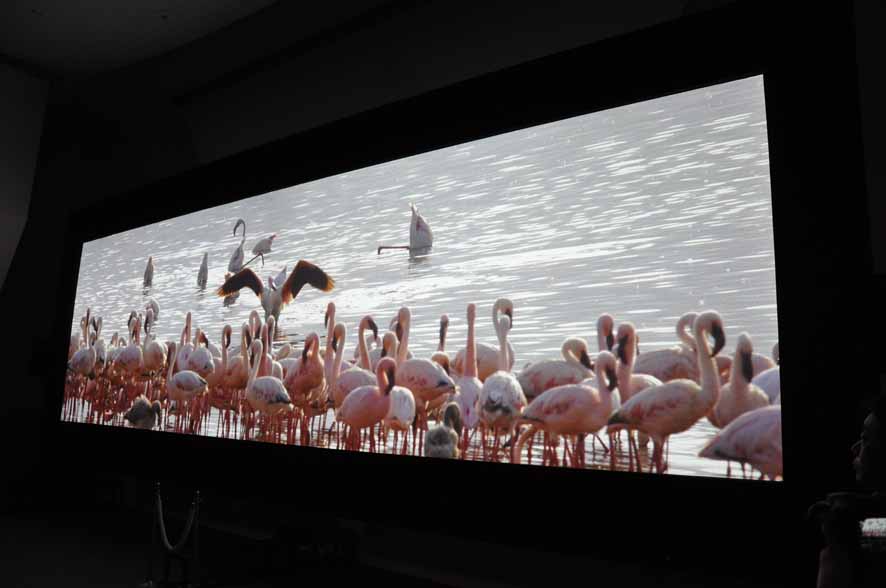 Multi-Projection using two 4K SXRD projectors
