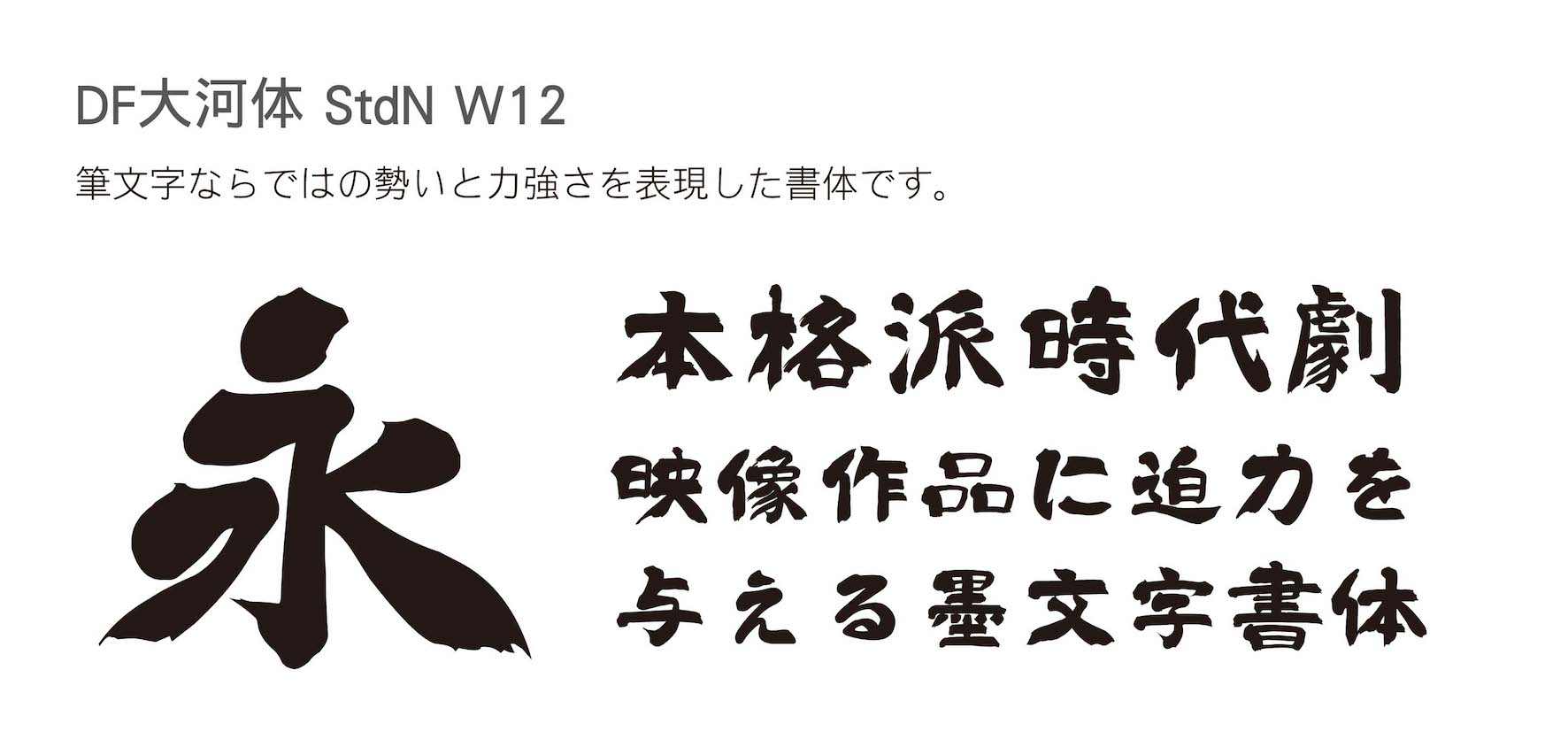 毛筆系新書体「DF大河体 StdN W12」